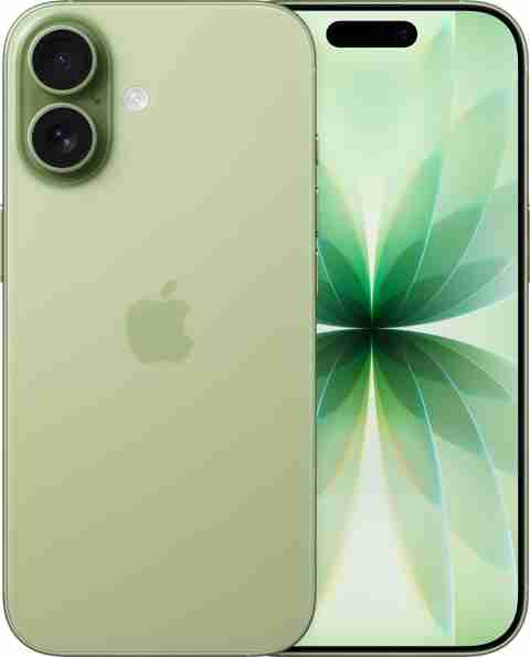 IPHONE 17 (Sage 256) DISPLAY ISSUE  GREEN DISPLAY  8 Month only 4 month care gaurranty
